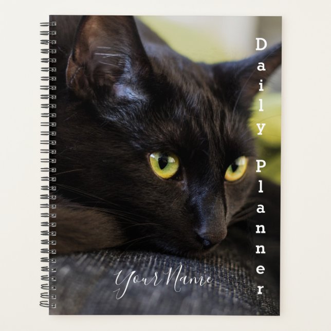 Black Kitty - Daily Planner - HAMbWG Planer (Vorderseite)