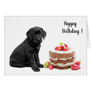 Black Lab Birthday Card - Dog Cake Birthday