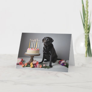 Black Lab Birthday Karte