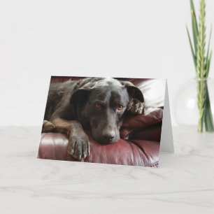 Black Lab Card Karte