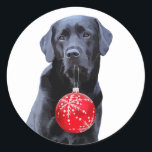 Black Lab Christmas - Labrador Puppy Niedlich Hund Runder Aufkleber<br><div class="desc">Schick frohe Weihnachtsgrüße und dekoriere Pakete mit diesem bezaubernden Black Labrador Weihnachtsaufkleber . Dieser schwarze Labrador Weihnachtsaufkleber wird unter den Labrador-Liebhabern beliebt sein. Besuchen Sie unsere Kollektion für passende schwarze Labyrinthe-Weihnachtskarten,  Wohngestaltung und Geschenke. COPYRIGHT © 2020 Judy Burrows,  Black Dog Art - Alle Rechte vorbehalten</div>