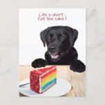Black Lab - Das Leben ist kurz, essen Sie den Kuch Postkarte<br><div class="desc">Das Leben ist kurz,  essen Sie den Kuchen!
Schicken Sie eine süße Nachricht mit dieser Black Lab Postkarte!</div>
