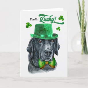 Black Lab Hund Feelin' Lucky St Patrick's Day Feiertagskarte