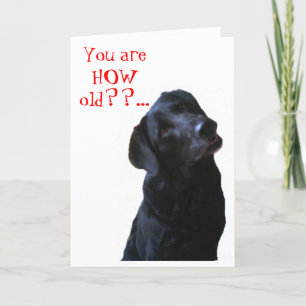 Black Lab Hund Tipping Head wünschen Happy Birthda Karte