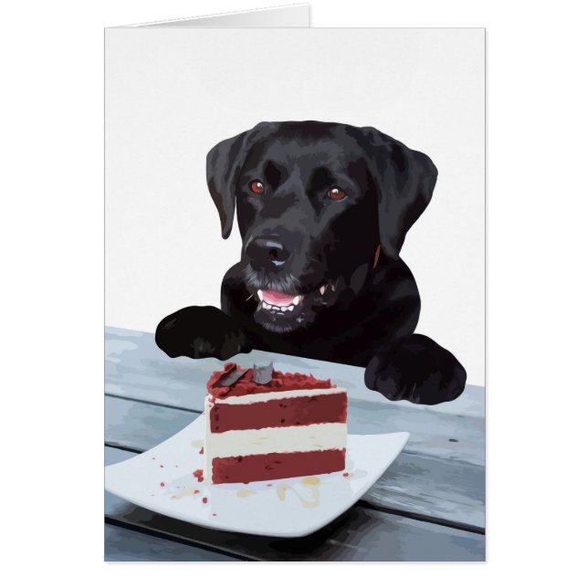 Black Lab Jeden Anlass Card - Hundekuchen Geburtst (Vorne)