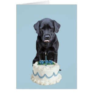 Black Lab Jeden Anlaß Card - Hundekuchen Geburtsta