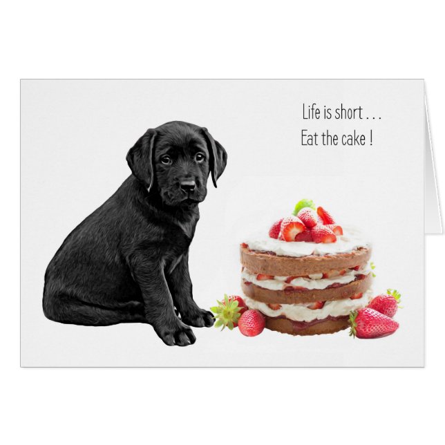 Black Lab Jeden Anlaß Card - Hundekuchen Geburtsta (Vorderseite (Horizontal))
