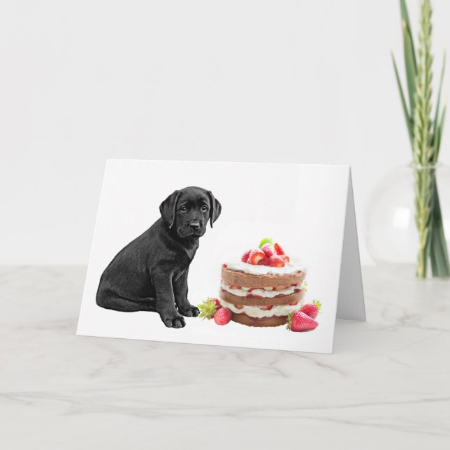 Black Lab Jeden Anlaß Card - Hundekuchen Geburtsta Karte (Vorderseite)