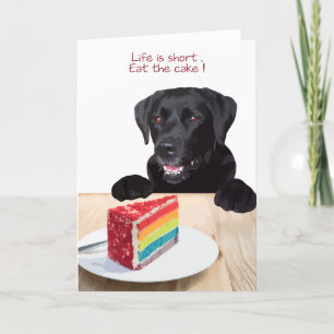 Black Lab Jeden Anlaß Card - Hundekuchen Geburtsta Karte