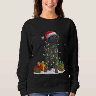 Black Lab Labrador Christmas Lights Pajama Dog Lov Sweatshirt