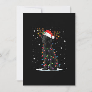 Black Lab Labrador Dog Christmas Lights Xmas Santa Einladung