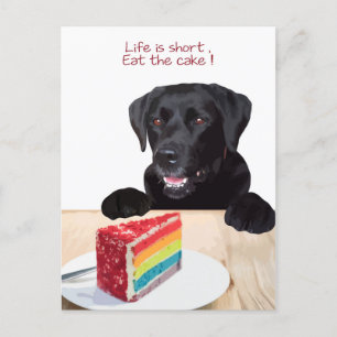Black Lab- Life is short , eat the Cake - Labrador Postkarte