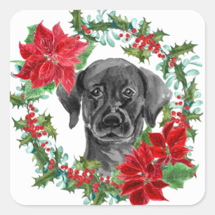 Black Lab Poinsettia Weihnachtsschaden Quadratischer Aufkleber