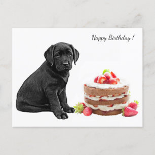 Black Lab Puppy - Dog Happy Birthday - Labrador Postkarte