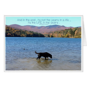 Black Lab Sympathy Card - Hund Beileid - Heimtierv