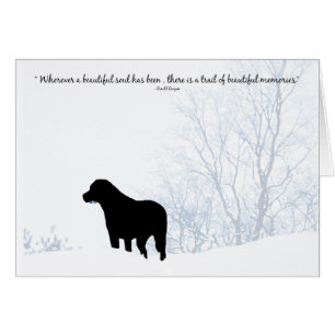 Black Lab Sympathy Card - Hund Beileid - Heimtierv