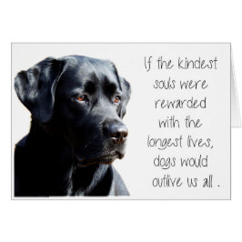 Black Lab Sympathy Card - Hund Beileid - Heimtierv