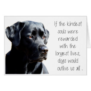 Black Lab Sympathy Card - Hund Beileid - Heimtierv