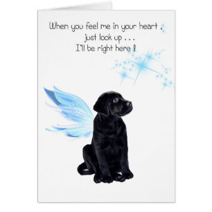 Black Lab Sympathy Card - Hund Beileid - Heimtierv