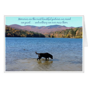 Black Lab Sympathy Card - Hund Beileid - Heimtierv