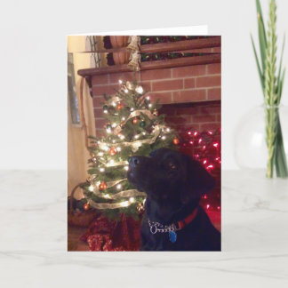 Black Lab Weihnachten