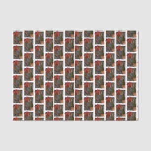 Black Lab Weihnachten Seidenpapier