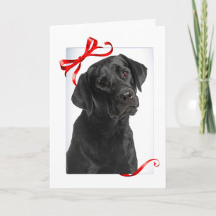 Black Lab Weihnachtskarte Feiertagskarte