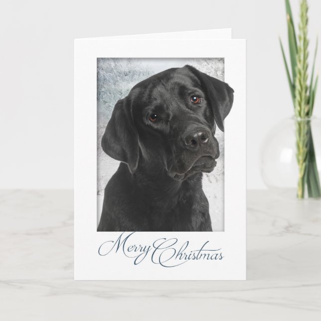 Black Lab Weihnachtskarte Feiertagskarte (Vorderseite)