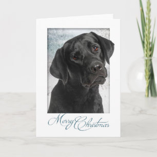 Black Lab Weihnachtskarte Feiertagskarte