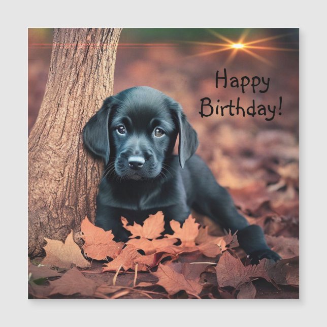Black Lab Welpe Magnetic Birthday Card Magnetkarte (Vorderseite)