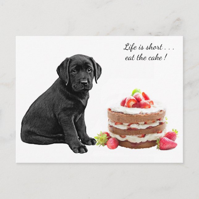 Black Lab Welppy - Hund zum Geburtstag - Labrador  Postkarte (Vorderseite)