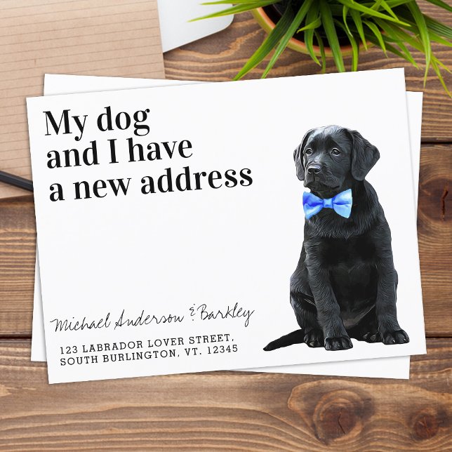 Black Lab Wir haben neue Adresse Hund bewegt Annou Postkarte (Von Creator hochgeladen)