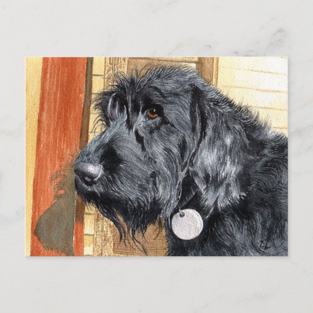 Black Labradoodle #1 Postkarte (Vorderseite)