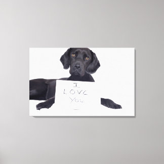 Black Labrador 13 Monate Leinwanddruck
