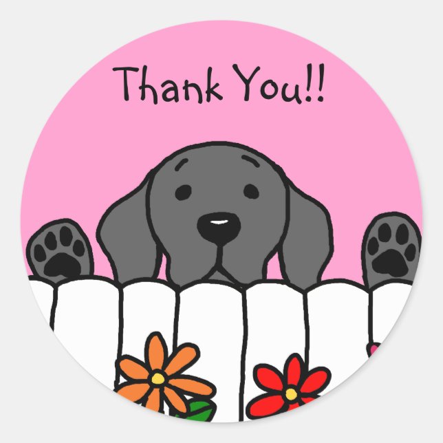 Black Labrador beobachtet Sie Runder Aufkleber (Vorderseite)