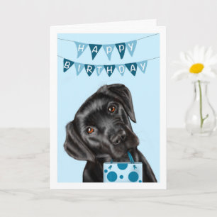 Black Labrador Blue Birthday Card Karte