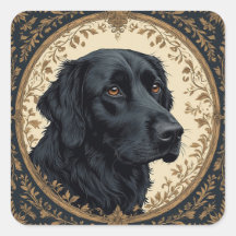 Black Labrador Elegantes Portrait