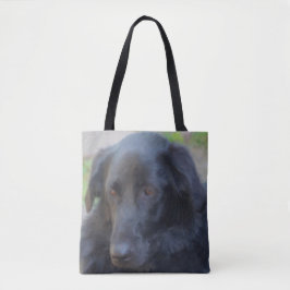 Black Labrador expressive Eyes Hunde Kunst