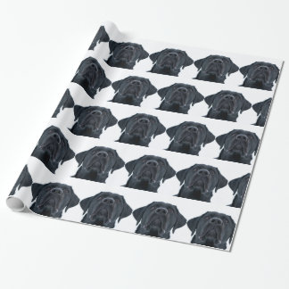 Black Labrador Facing Geschenkpapier