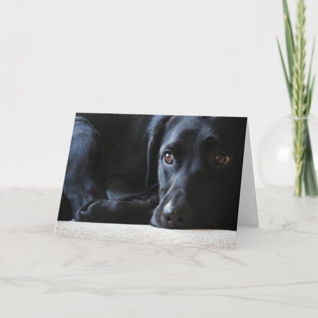 Black Labrador Feiertagskarte (Vorderseite)