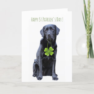 Black Labrador Four Leaf Clover St.Patrick's Day Feiertagskarte
