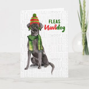 Black Labrador Funny Fleas Navidog Christmas Holid Feiertagskarte