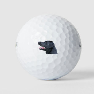 Black Labrador Golfball