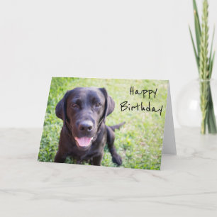 Black Labrador Happy Birthday Card Karte