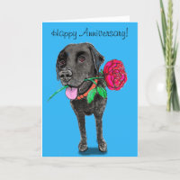 Black Labrador Jubiläumsgrusskarte