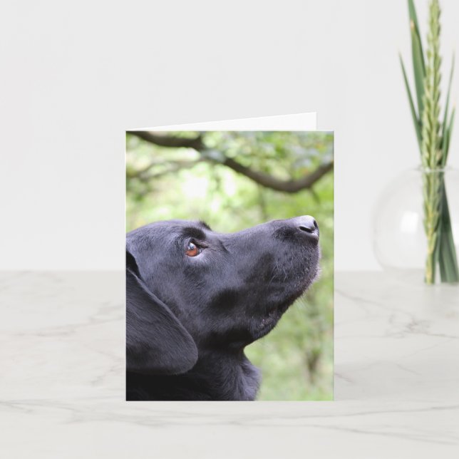 Black Labrador Karte (Vorderseite)