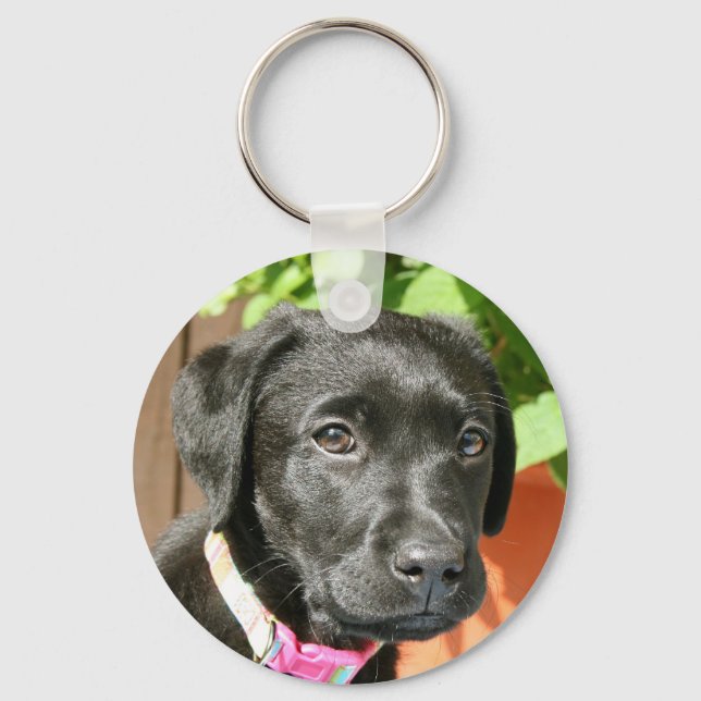 Black Labrador Key Chain Schlüsselanhänger (Vorderseite)