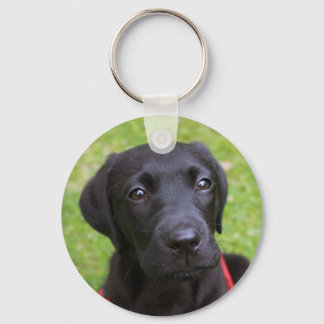 Black Labrador Key Ring Schlüsselanhänger