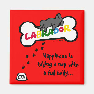 Black Labrador mit einem vollen Bauch-Cartoon Magnet