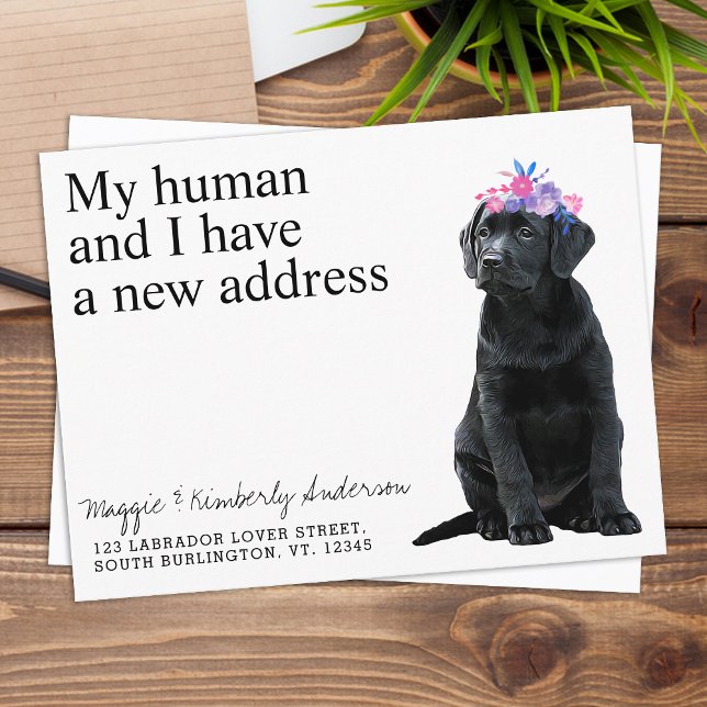 Black Labrador New Address Dog Moving Ankündigung Postkarte (Von Creator hochgeladen)